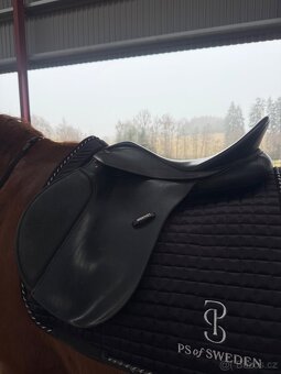 Sedlo WINTEC 250 - 3