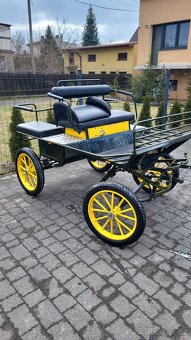 Kočár pro pony a menčí koně - 3