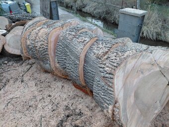 Dřevěné koláče - 3