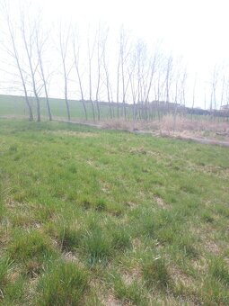 Prodej pozemku Bavoryně - 3