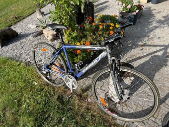 2 kola Dema Esperia a Imperia - 3