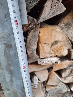 Dvoukřídlá brána - 3