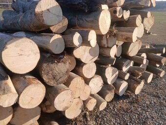 Palivové dřevo - 3