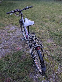 Author linea po repasy - 3