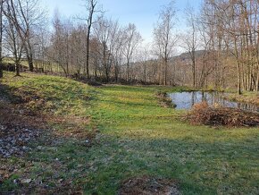 Stavební pozemek, Horní Radouň, okr. Jindřichův Hradec - 3