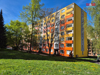 Prodej bytu 1+1, 36 m², Cheb, ul. Palackého - 3