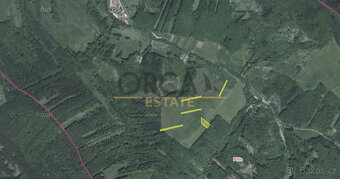 Pozemky Pitín, 11128 m2 - 3