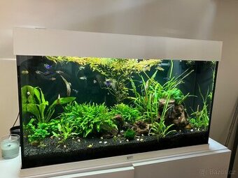 Akvárium Juwel Rio 125l - 3