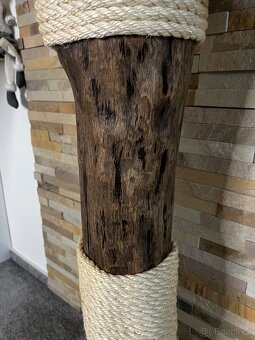 Kočičí strom - 3