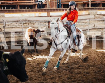 Appaloosa klisna z prověřeného původu - 3