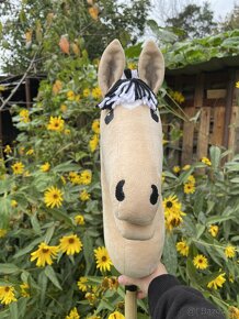 Hobbyhorse fjord - 3