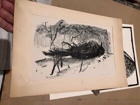 umelecke foto, grafika a plagat - 3