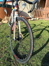 Kellys arc 50 - 3