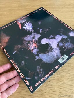 The Cure - Disintegration - 3