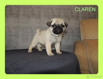 MOPS s PP. - 3
