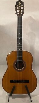 Cremona 498 Bräuer Masterbuilt Flattop - 3