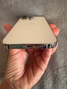 iPhone 13 Pro 256 GB - 3