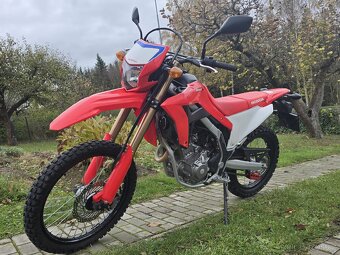 Honda CEF 300 L 2022 - 3