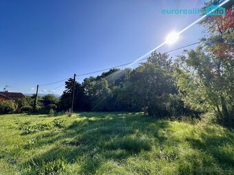 Prodej, stavební pozemek, 1285 m2, Hory u Jenišova - 3