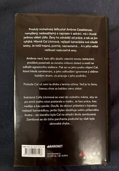 Opravdu smíšené hluboce – L. J. Shen, populární romantika - 3