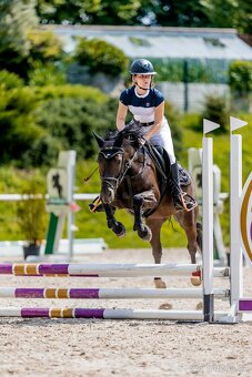 Sportovní pony kobylka parkur/drezura - 3