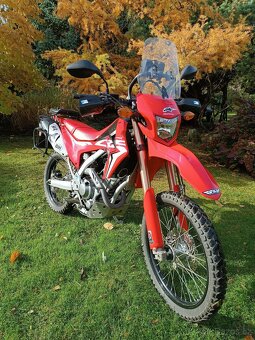 CRF 250L - 3