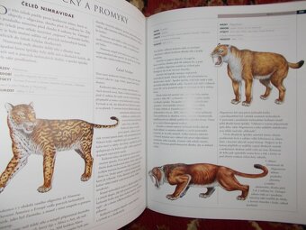 Ilustrovaná encyklopedie dinosaurů - 3