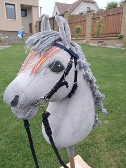 Hobby Horse - 3