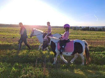 Úžasná pony kobylka - 3