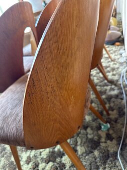 Židle Antonín Šuman 5ks k renovaci - 3