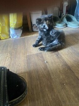 Malá princezna Mrška - 3