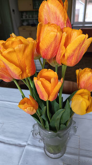 vysoké tulipány - žluté s růž. líčkem - 3