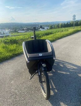 Cargo kolo Urban Arrow Family Performance Line - 3