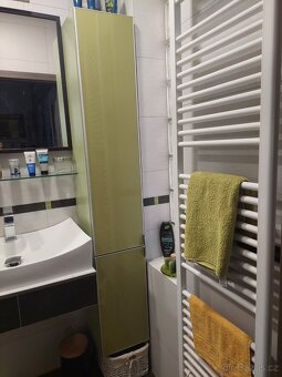 SKŘÍŇKA DO KOUPELNY - 3