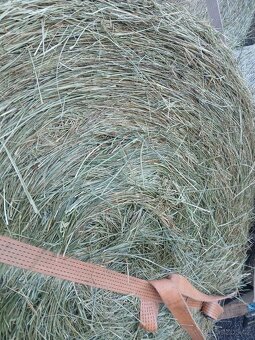 Krásná letošní otava z Vysočiny - 3