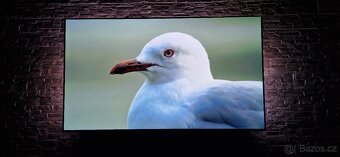 Televize Philips OLED 55" - 3
