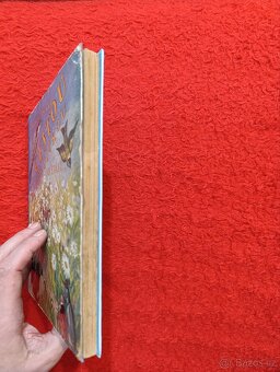 CESTOU A CESTIČKOU - J.H.Týnecký - 3