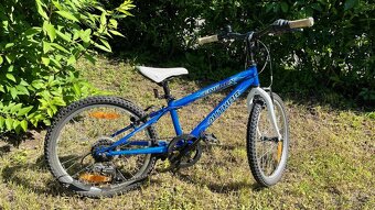 Author energy 20” - 3