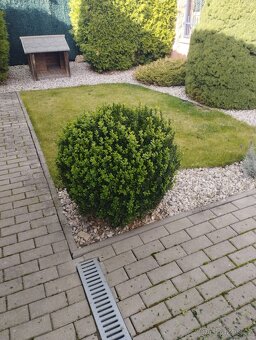 Дом и сад - 3