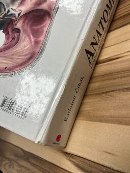 Anatomie 3 - Čihák - 3
