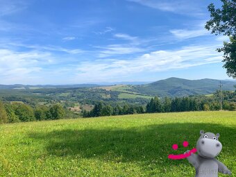 Prodej louky 5 517 m², Podkopná Lhota, ev.č. 58670 - 3