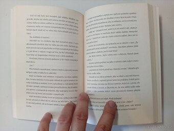 Nejkrásnější Měsíční kroniky: Příběh Levany - Marissa Meyer - 3