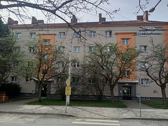 Byt 2+1 v Jihlavě, Vrchlického ul. - 3