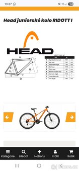 HEAD RIDOTI - 3