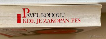 PAVEL KOHOUT - KDE JE ZAKOPÁN PES - 3