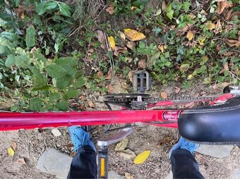 Dámské horské kolo - 3