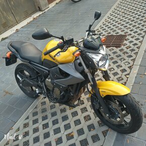 Yamaha XJ6 r.v.2009 - 3