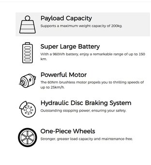 Fiido T1 Pro Utility Electric Bike - 3