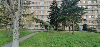 Pronájem bytu 2+1 50m2 ul. Plamínkové, Pankrác - 3
