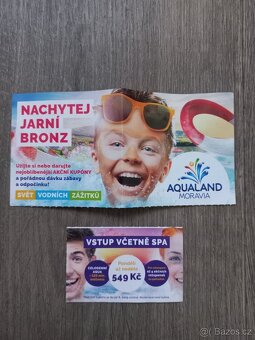 CELODENNÍ AQUALAND MORAVIA S WELLNESS I BEZ - 3